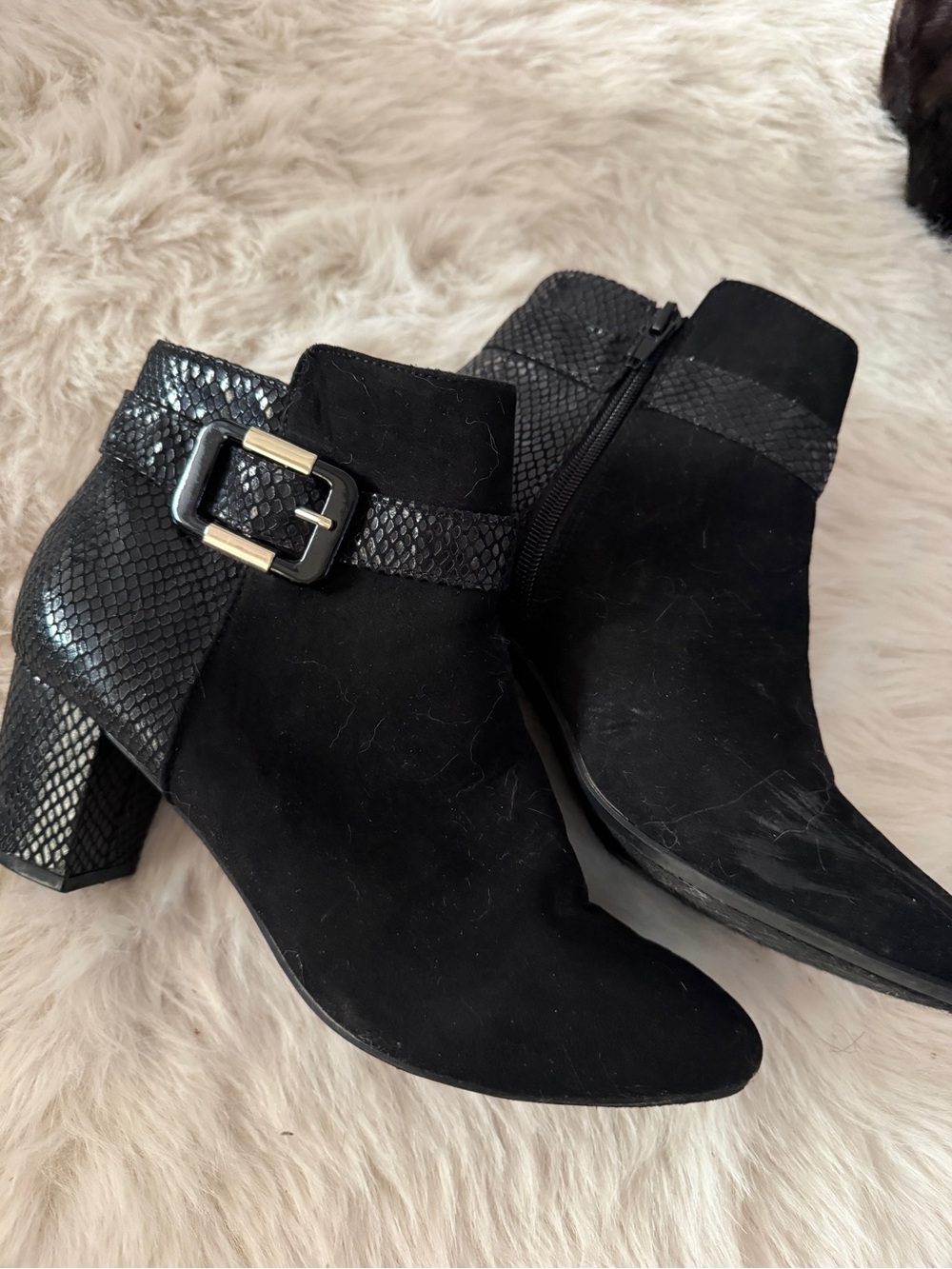 Karen Scott Black Suede Ankle Boots with Snake Accent